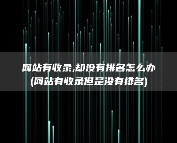 网站有收录,却没有排名怎么办(网站有收录但是没有排名)